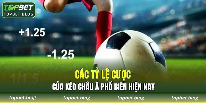 Các tỷ lệ cược trong kèo châu á phổ biến hiện nay