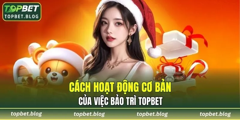 Cách hoạt động cơ bản của việc bảo trì TOPBET